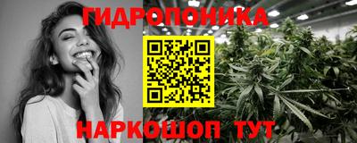 крисы Новозыбков