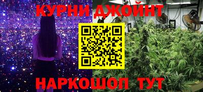 бошки Новодвинск