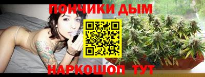 крисы Новозыбков