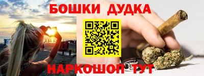 крисы Новозыбков