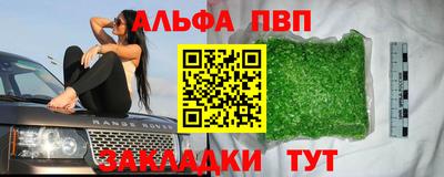 крисы Новозыбков