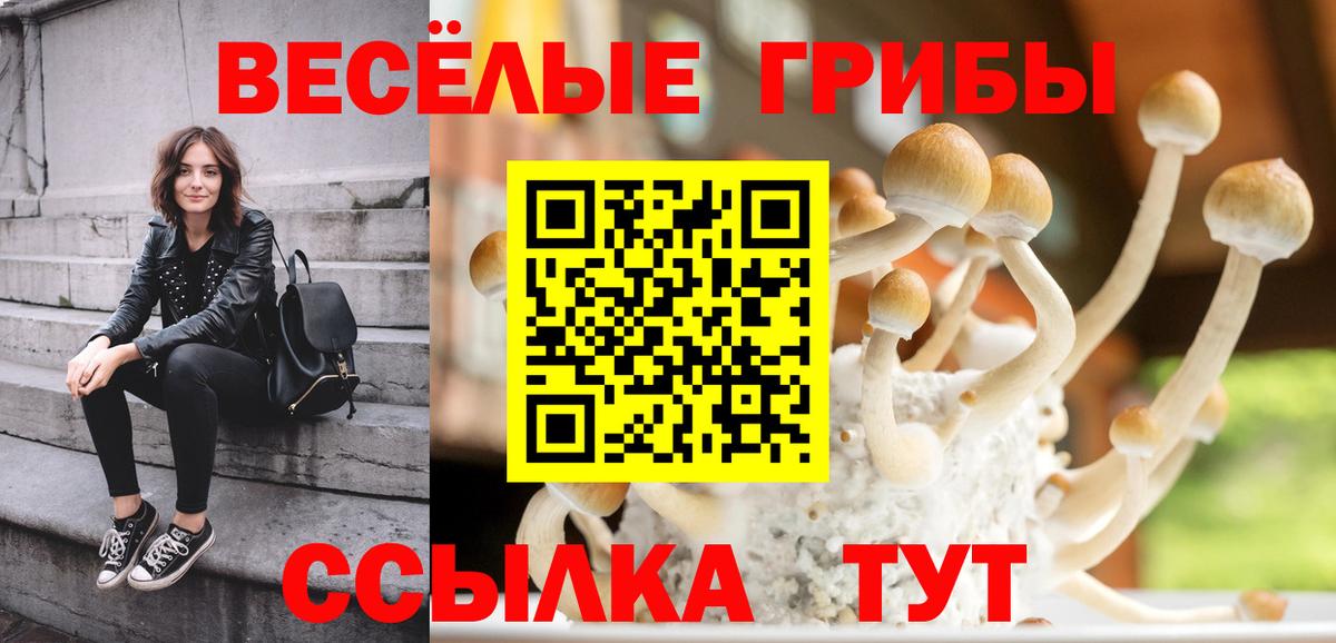 Псилоцибиновые грибы Psilocybine cubensis  купить наркоту  Галлюциногенные грибы ЛСД  Северобайкальск  Вход с VPN 